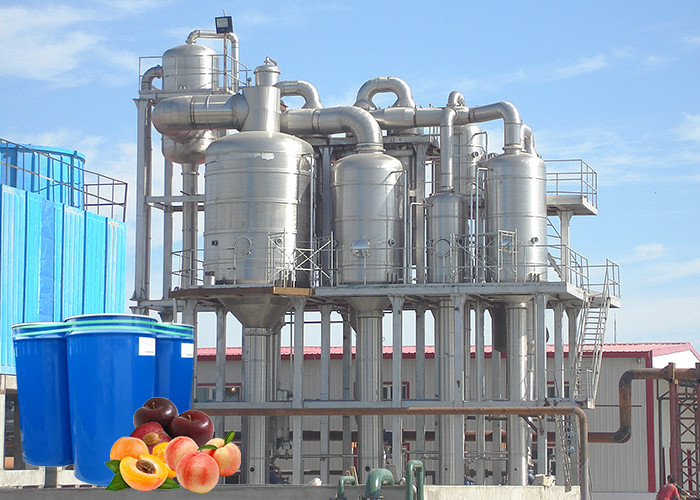 Cheap Commercial Peach Processing Plant Apricot Puree Plum Jam Production Line for sale