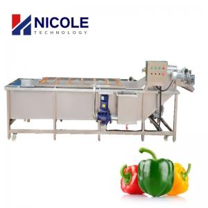 Cheap Small SUS Vegetable Fruit Cleaning Machine Air Bubble Washer Belt Type Customized for sale