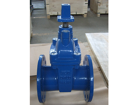 Cheap Flanged End Gate Valve&Carbon Steel with zinc plated for sale