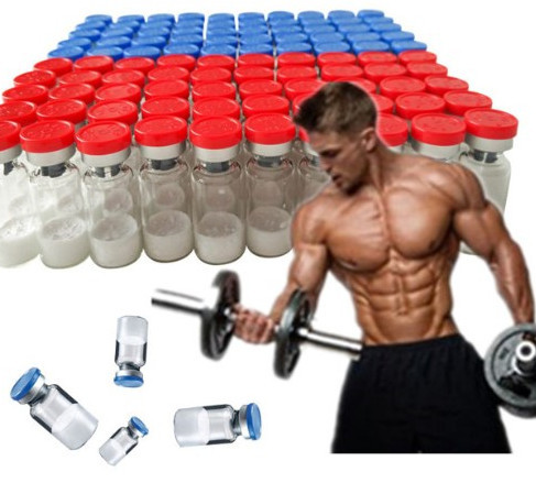 Cheap Low Secretory Type HGH Growth Hormone 191aa Bodybuilding Peptides for sale