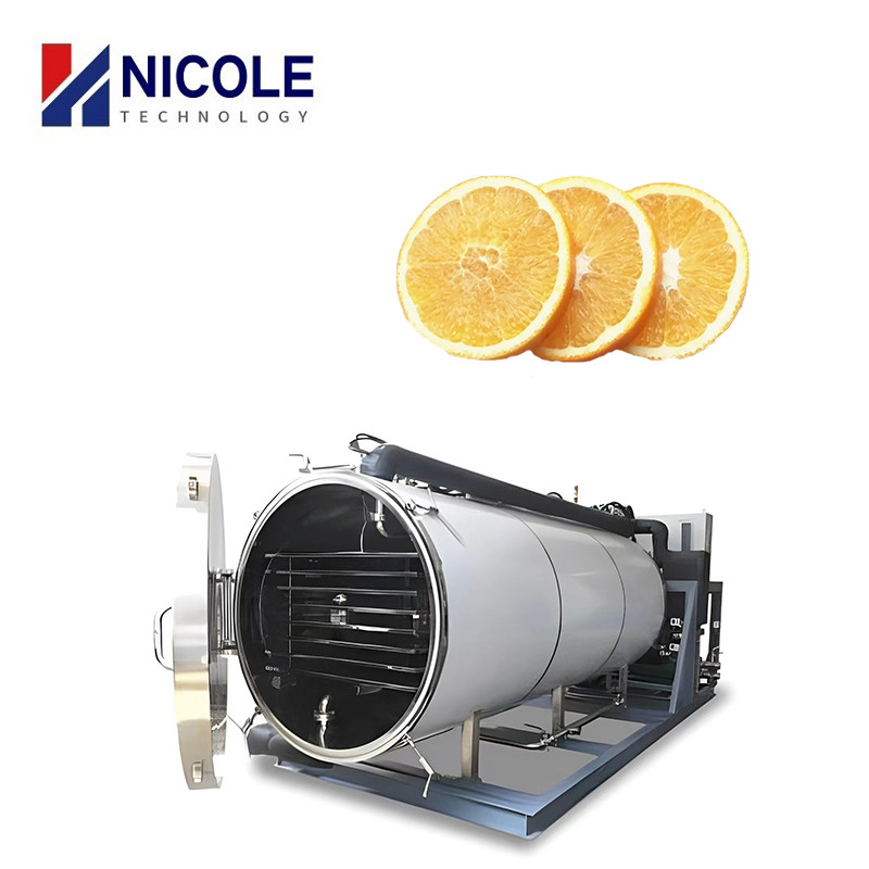 Cheap Dried Meat Fruit Food Vacuum Freeze Dryer Machine Automatic for sale
