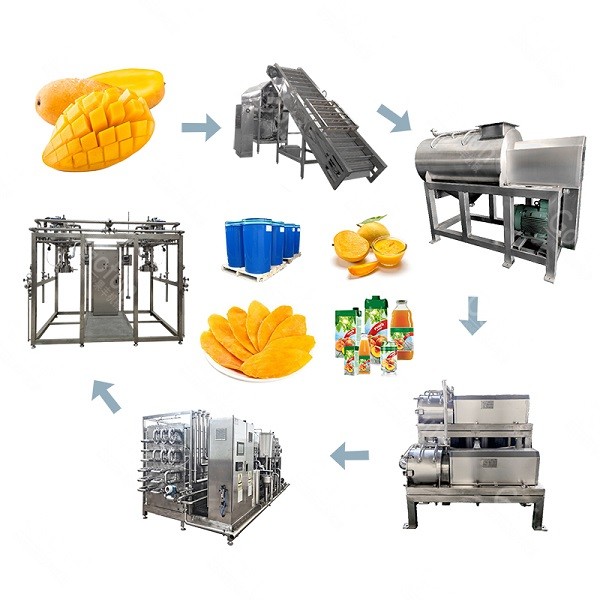 Cheap Automatic Mango Processing Line 100T/D SUS316 for sale