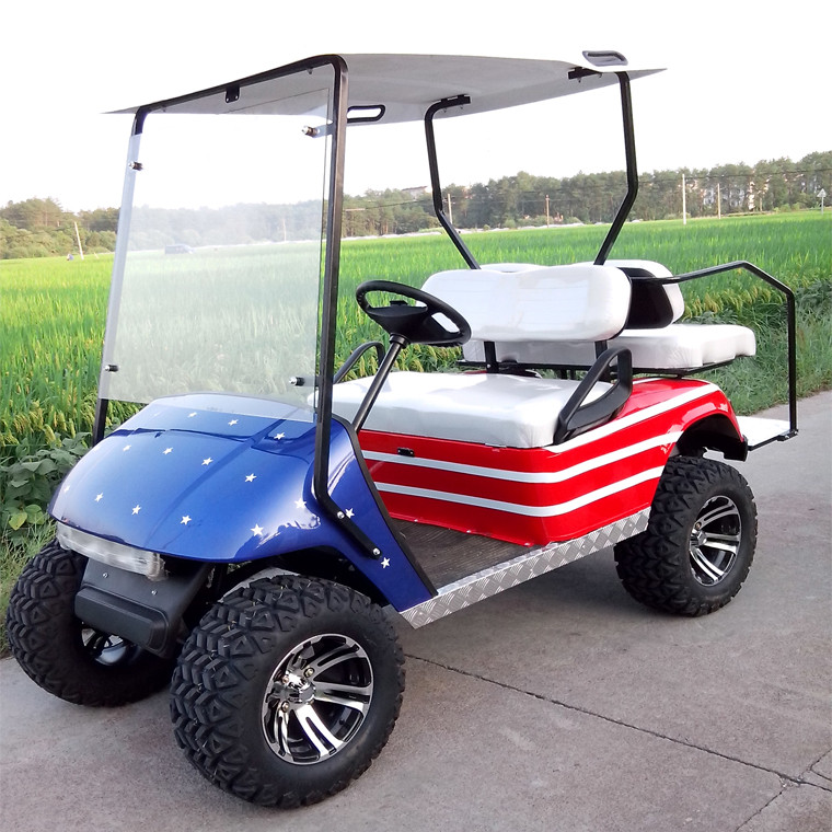 Cheap 2 seater electric golf car  for sale