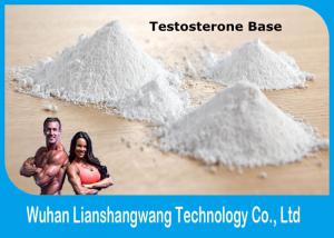 Testosterone is needed for the development of