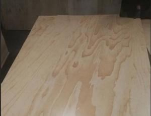Cheap 2 Sides / 1 Side UV Coated Plywood Radiata Pine Face And Back Eco Friendly for sale