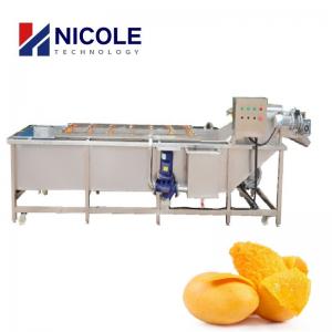 Cheap Mango Industrial Fruit Washing Machine Multifunctional Veggie Cleaner Machine for sale
