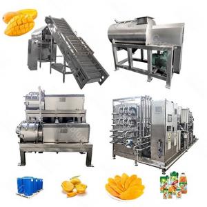 Cheap 500kg/H Industrial Mango Processing Equipment For Juice 300T/D for sale