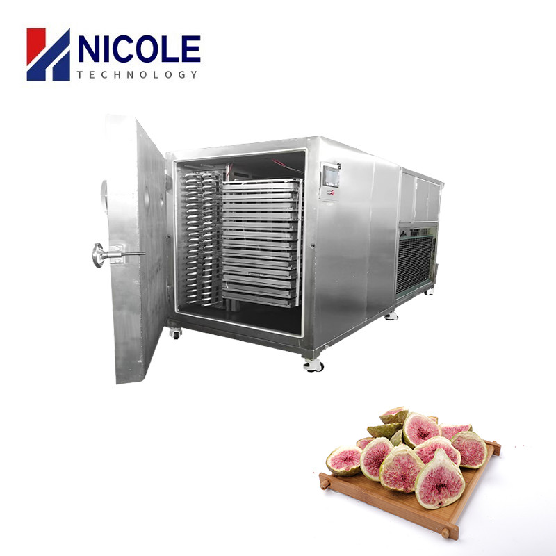Cheap Industrial Vacuum Pharmaceutical Fruit Freeze Dryer Machine For Food Flower for sale