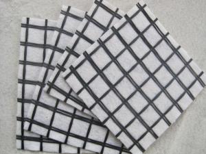 Cheap Anti Tearing 100KnX100Kn Fiberglass Geogrid Composite Geotextile For Pavement Reinforcement for sale