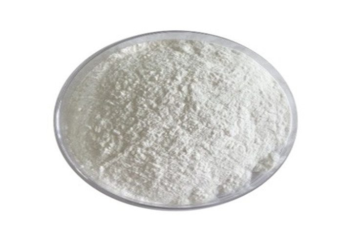 Cheap CAS C12H24O11 HALAL Maltose Sugar Powder  Substitute Improve Human Immunity for sale