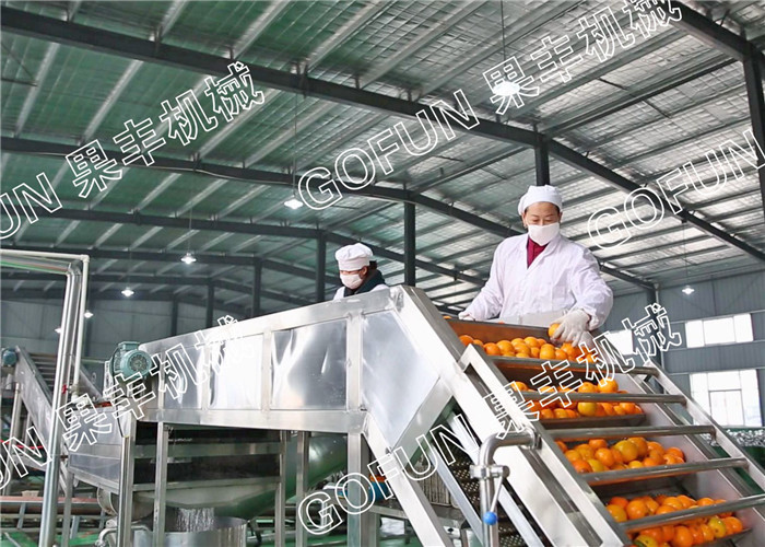 Cheap HPP Citrus Processing Line / 440V Lemon Processing Plant Easy Operation for sale