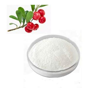 Cheap 99% Alpha Arbutin Skin Care Raw Materials Bearberry Extract Powder for sale