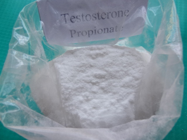 Cheap USP36 CAS 57-85-2 Testosterone Propionate Powder Legal Injectable Steroids for sale