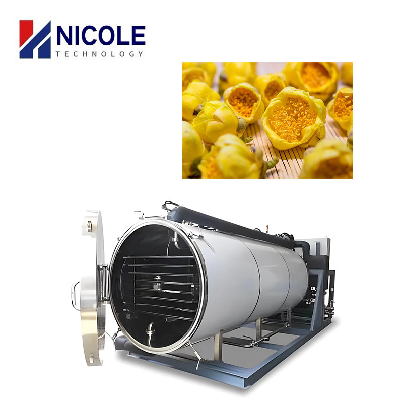Cheap Food Fruit And Vegetable Vacuum Pump Freeze Dryer Lyophilizer Customised for sale