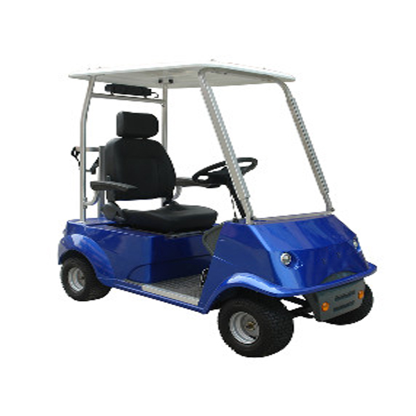 Cheap 1 seat Mini electric Golf cart for sale