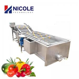 Cheap SS Automatic Fruit Vegetable Cleaning Machine Air Bubble 220V 415V 440V for sale