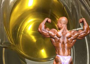 Effect of anabolic steroids on muscles