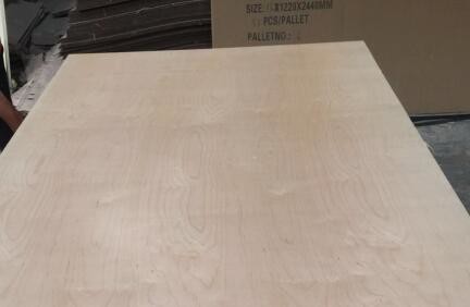 Cheap White Birch UV Coated Plywood Poplar / Eucalyptus Core Type 2.5 - 20mm Thickness for sale