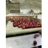 Buy cheap 440V Energy Saving Apple Processing Line For Jam Making from wholesalers