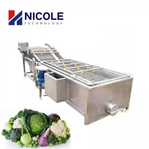 Cheap 220V - 440V Fruit Vegetable Cleaning Machine Multifunctional 100 - 2000kg/h for sale