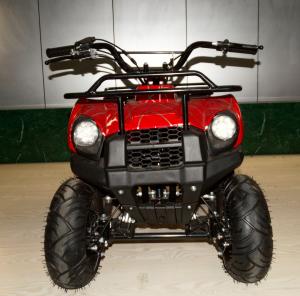 Cheap 49cc New Model small ATV,2-stroke.air-cooled.hot sale models in Eurpoe.good quality. for sale