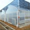 Cheap PE Plastic Film Greenhouse Multi Span Sawtooth Turnkey Project for sale