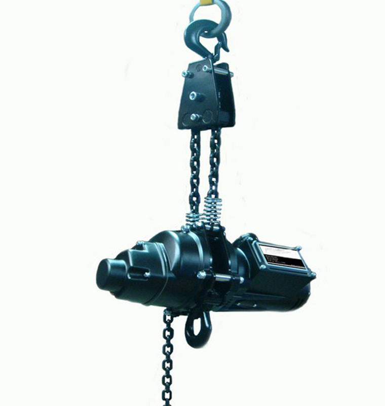 Cheap Electric Inversion Chain Hoist (DH-1000) for sale