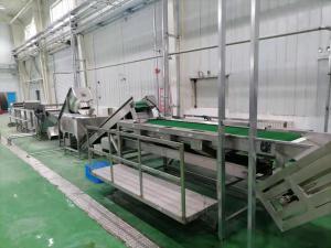 Cheap 500T/D Guava Pulp Production Line 415V Guava Processing Plant For Concentrated Juice for sale