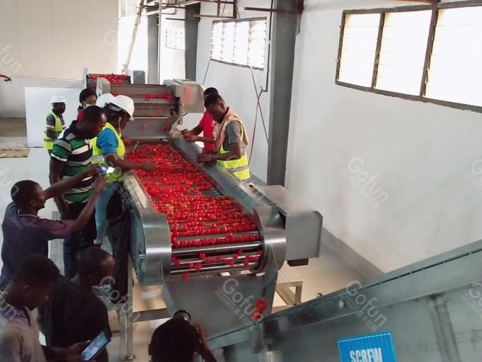 Cheap SUS304 Industrial Automatic Tomato Processing Line For Paste Making for sale