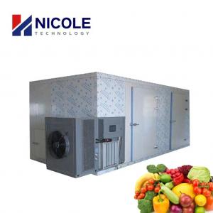 Cheap Commercial Fruit Vegetables Hot Air Drying Machine With Heat Pump for sale