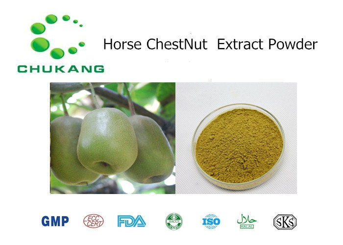 Cheap Natural Plant Extract Powder Horse Chest Nut P.E. Horse Chest Nut Extract Natural Herb Powder for sale