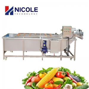 Cheap Multifunctional Washing Fruit Vegetable Cleaning Machine Stainless Steel for sale