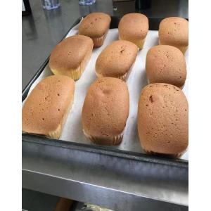 bakery machinery bread equipment cake machine Cake Depositor Machine for Sponge