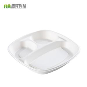 Cheap 9&quot; In Biodegradable White 3 Section Restaurant Dinner Plate Disposable for sale