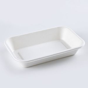Sugarcane Pulp Biodegradable Disposable Tray Rectangular Dining Box