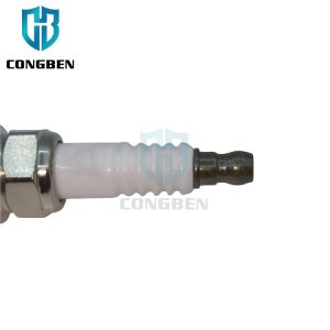 High Quality China Manufacture Spark Plug OEM 90919-YZZAC Buy Spark Plug For