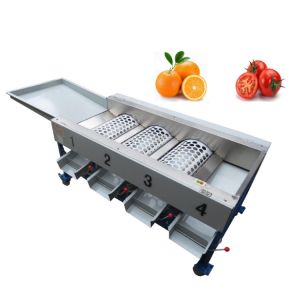 220v/380v Fruit Vegetable Processing Machine , Stainless Steel Apple Sorting