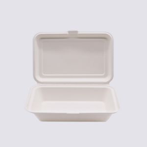 Biodegradable Disposable Sugarcane Bagasse Takeaway Food Container Packaging