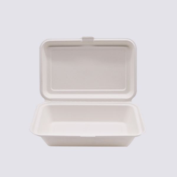 Biodegradable Disposable Sugarcane Bagasse Takeaway Food Container Packaging