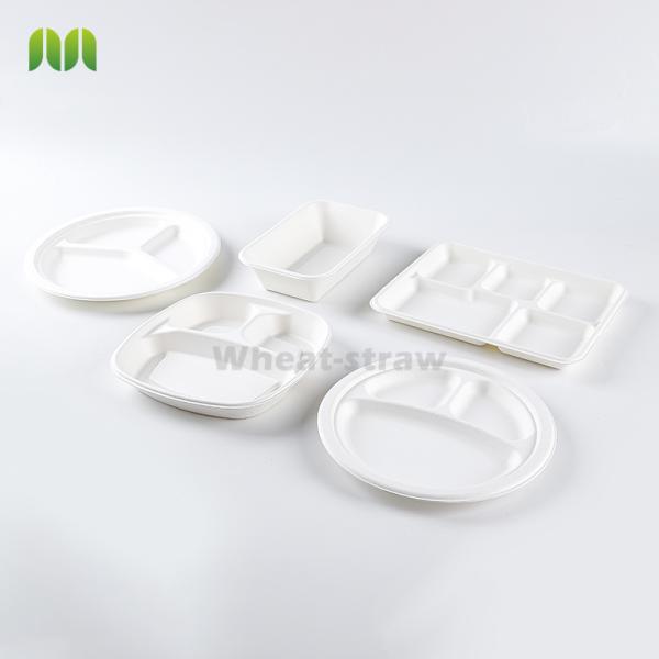 Quality Biodegradable Compostable Paper Plates , Sugarcane Eco Friendly Disposable Plates wholesale
