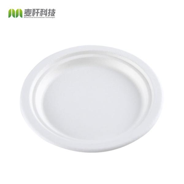 Quality Round 6.75 Inch Biodegradable Food Container Plates White Color wholesale