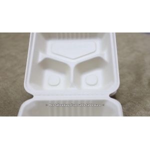 China Compostable Tray Bento Clamshell Take Out Containers Lunch Meal Box on sale