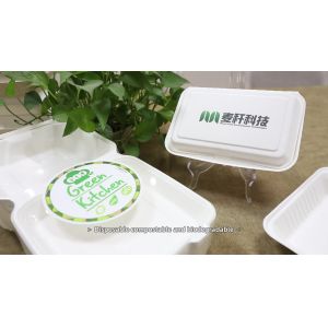 Compostable Lunch Box Bagasse Disposable Biodegradable Waterproof Grease
