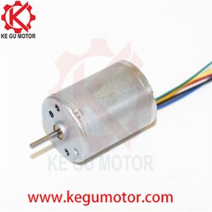 BL2430 BL2430I B2430M 12v 24v 24mm inner rotor brushless dc motor