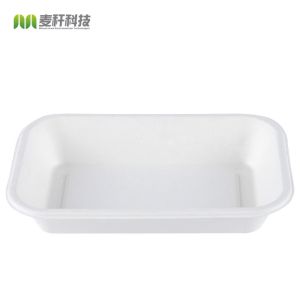 Bagasse Biodegradable Disposable Tray With Lid 950ml Takeout Tableware