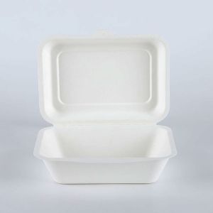 Disposable biodegradable food container clamshell, meal box