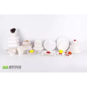Biodegradable Bagasse Fast Food Clamshell Take Out Containers Disposable
