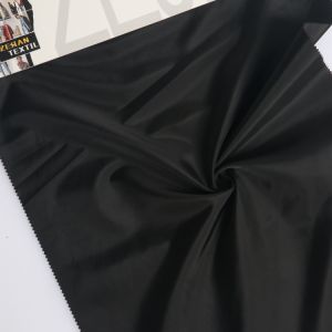 China producer 360T polyester taffeta Recycled polyester taffeta Fabric for down