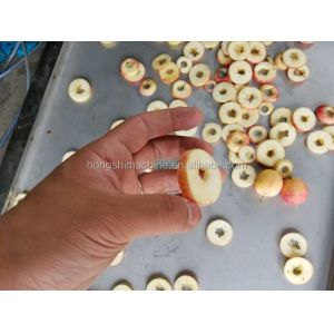 Electric apple core removing machine/apple ring cutter machine/apple coring