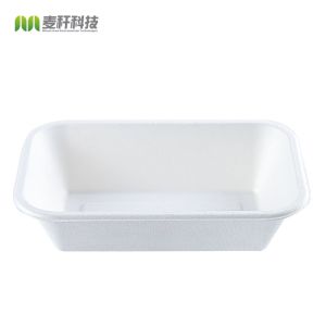 Cheap Rectangle 32oz Disposable Catering Trays With Lids Food Plant Pattern for sale